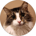 Jessica Nastali's Profile Image