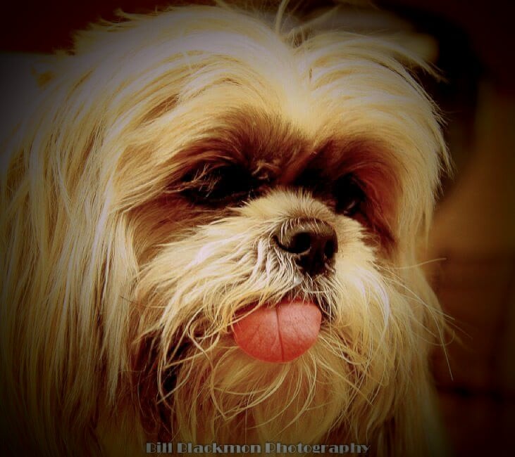 Larry X. P.'s profile image