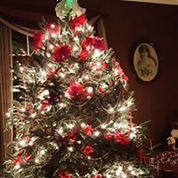 Nancy P.'s profile image