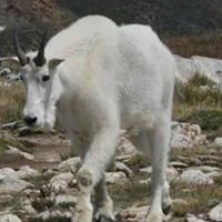 Kevin F.'s profile image