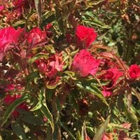 Joyce G.'s profile image