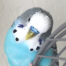 Kristie K.'s profile image