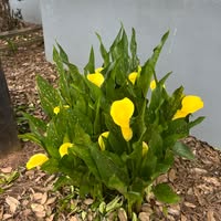 Becky Townsend Knipp's profile image
