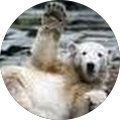 Joe Matkevich's Profile Image