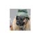 Debbie Fishbain's profile image