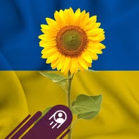 Rick Hughes's profile image