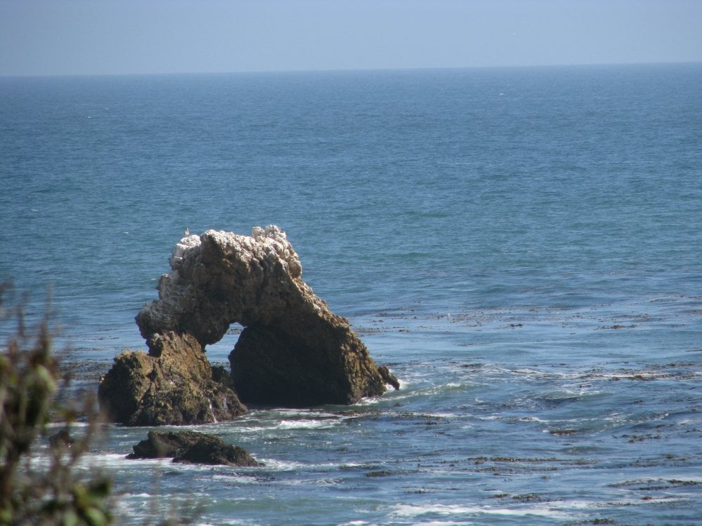 Chris N.'s profile image