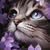 Anne Broady's profile image