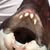 Cheryl Holma's profile image