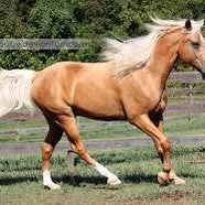 Marie Zupancic's profile image