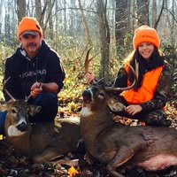 Steve Stout's profile image