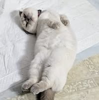 Sherry Johns- Riley's profile image