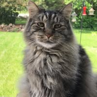 Jen Crouse's profile image