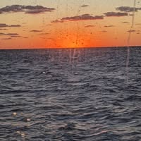 RC Allen's profile image