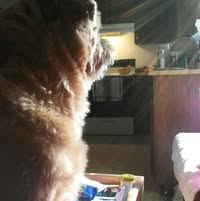 Maya Watt's profile image