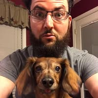 Ryan Maul's profile image