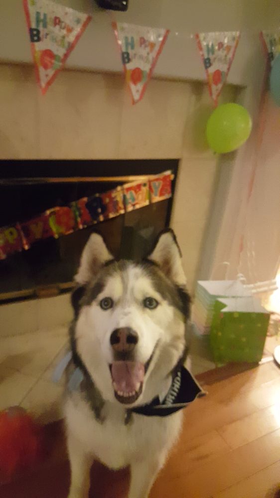 Erika C.'s profile image