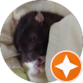profile-photo