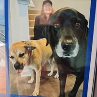 Janice Caldwell's profile image