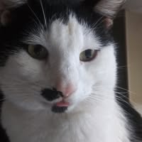 BoDe Graham's profile image
