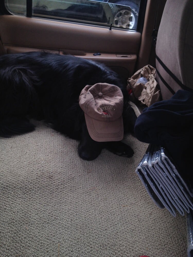 Ron F.'s profile image