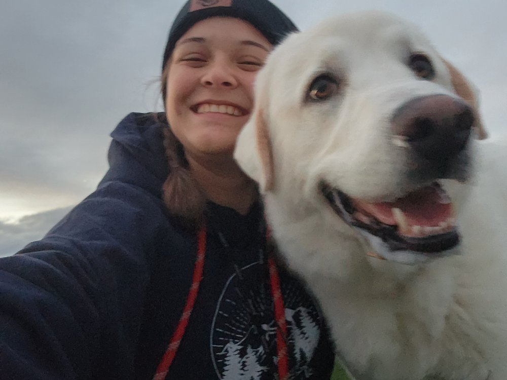 Bella f.'s profile image