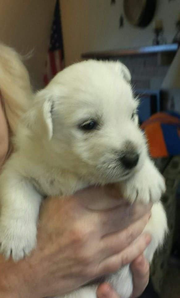 Susan V.'s profile image