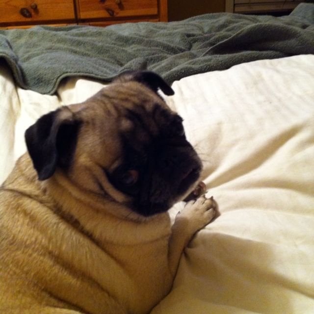 Kevin F.'s profile image