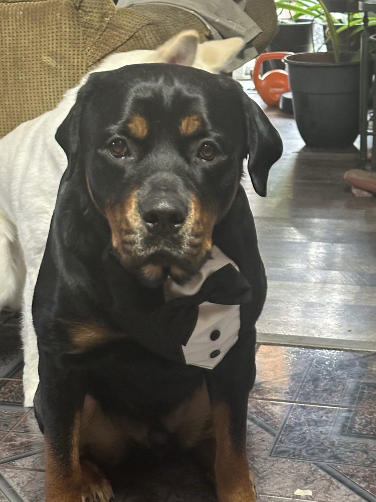 Christian C.'s profile image