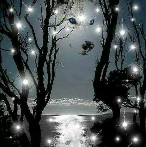 Beverly K.'s profile image