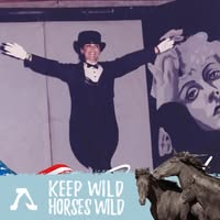 MJ Caruso's profile image