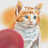 Lee's profile image