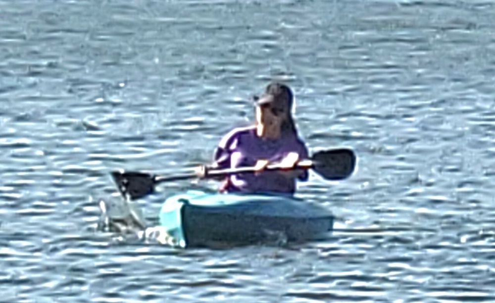 Yj L.'s profile image