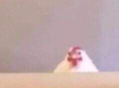 Raymond S.'s profile image