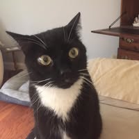 Gary Bawden's profile image