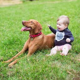 Greg Boutle's profile image