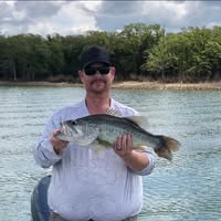Kevin Stearns's profile image