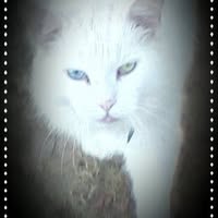 Martha Chaney's profile image