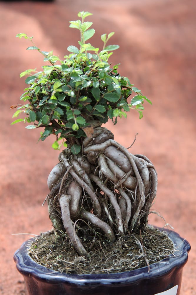 Bel L.'s profile image