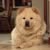 Ray Statler's profile image