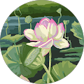 Laurentiu Dobrila's Profile Image
