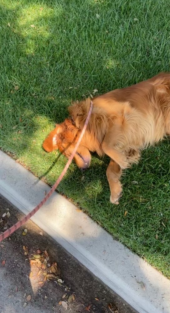 Krystal D.'s profile image