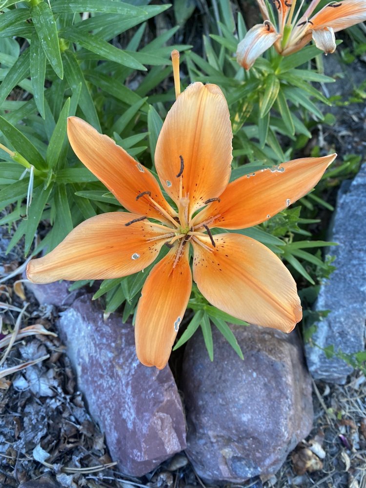 Courtney T.'s profile image