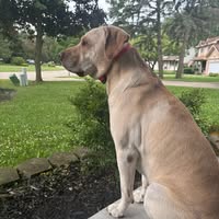 Harvey Goggins's profile image