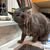 Betsy Guyan Donnelly's profile image