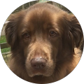 Bryan Phillips's Profile Image