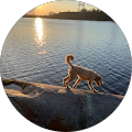Tim Quinlan's Profile Image