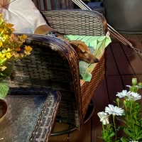 Carla Quenzer's profile image