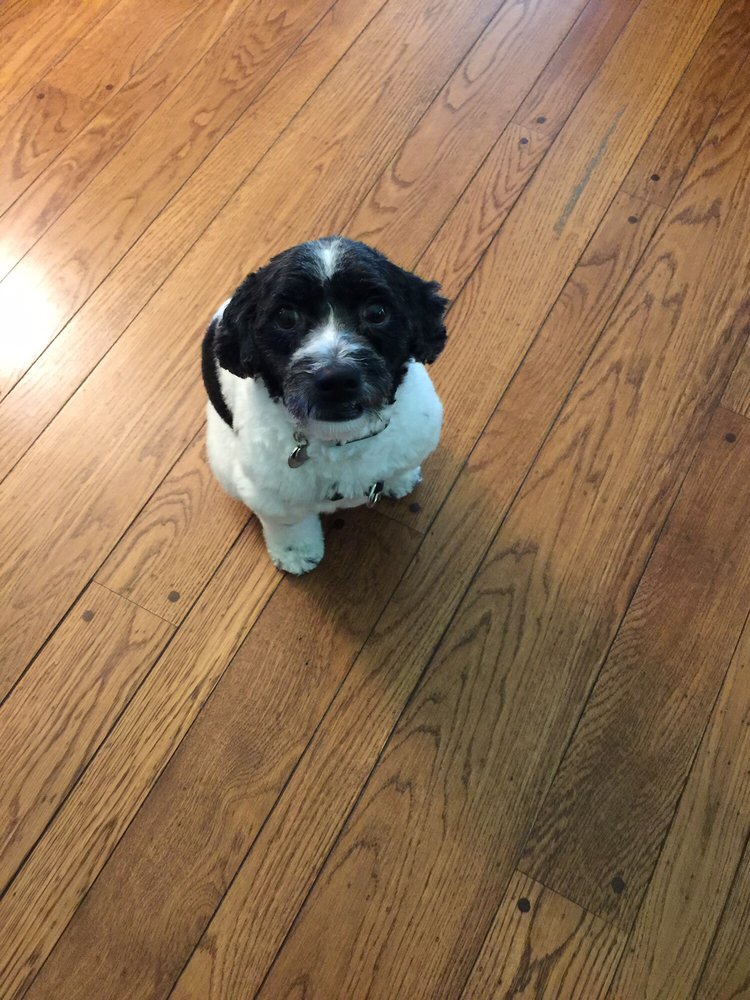 S G.'s profile image