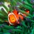 Audrey Wolfe's profile image